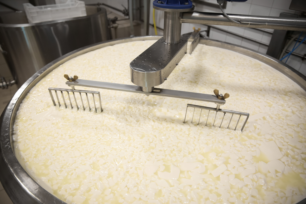 milk fractionation and whey processing